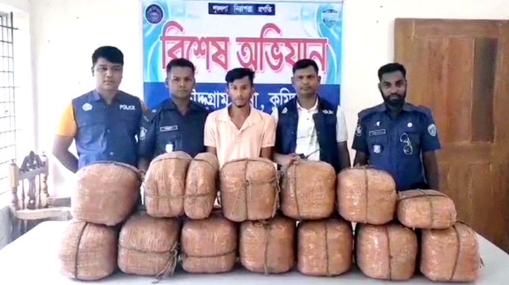 চৌদ্দগ্রামে ৫১ কেজি গাঁজাসহ ১ মাদক ব্যবসায়ী গ্রেফতার